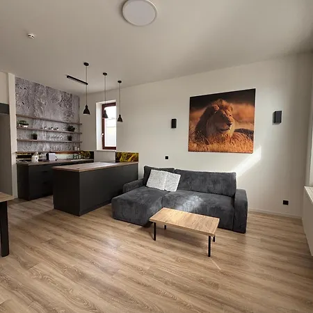 Apartemnt In * Dvur Kralove nad Labem